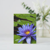 Tropische Wasserlilie Postkarte (Stehend Vorderseite)