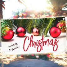 Tropische Weihnachtspalme Rote Grüne Familie Name