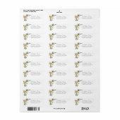 Tropische Weihnachtssternfische-Rücksendeadresse (Vorne)