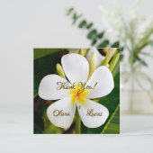 Tropische weiße Plumeria - Neuanfang - Hochzeit (Stehend Vorderseite)