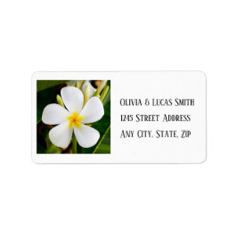 Tropische weiße Plumeria - Neuanfang - Hochzeit Adressaufkleber