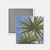 Tropische Yucca-Palmenblätter Malerei Effekt Foto Magnet (Vorderseite/Rückseite)