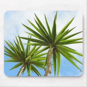 Tropische Yucca-Palmenblätter Malerei Effekt Foto Mousepad