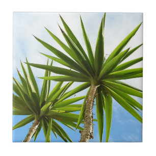 Tropische Yucca-Palmenblätter-Malereieffekt-Foto Fliese