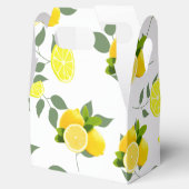 TROPISCHE Zitrusfrüchte SOMMERFRÜCHTE Orangefarben Geschenkschachtel (Geöffnet)