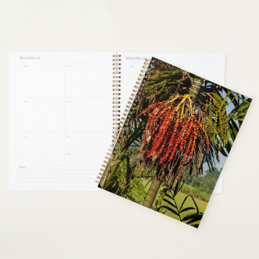 Tropischer Bali-Palmenfrucht-Planer Planer (Anzeige)