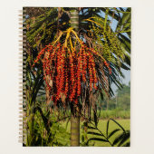 Tropischer Bali-Palmenfrucht-Planer Planer (Vorderseite)