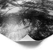 Tropischer Baum Schwarz und Weiß im Nebel Fotodruck (Ecke)