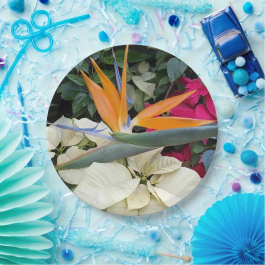 Tropischer Bird der Paradise Pflanze und Poinsetti Pappteller (Party)