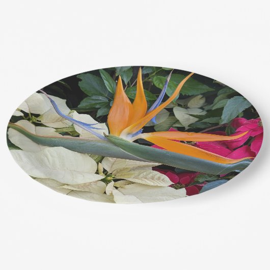 Tropischer Bird der Paradise Pflanze und Poinsetti Pappteller (Schrägansicht)