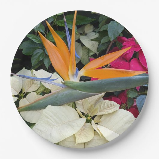 Tropischer Bird der Paradise Pflanze und Poinsetti Pappteller (Vorderseite)