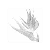 Tropischer Bird des Paradieses Gummistempel (Prägung)