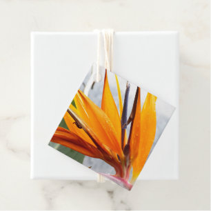 Tropischer Bird of Paradise Geschenkanhänger