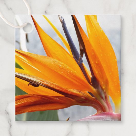 Tropischer Bird of Paradise Geschenkanhänger (Vorderseite)