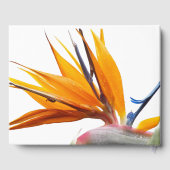 Tropischer Bird of Paradise Pflanze Hochzeit der B Gästebuch (Rückseite)