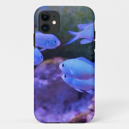 Tropischer Blauer Fisch Case-Mate iPhone Hülle (Rückseite)