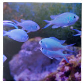 Tropischer Blauer Fisch Fliese (Vorderseite)
