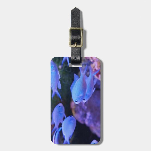 Tropischer Blauer Fisch Gepäckanhänger (Vorderseite vertikal)