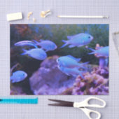 Tropischer Blauer Fisch Seidenpapier (Handwerk)