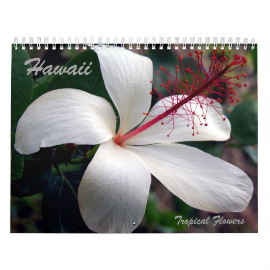 Tropischer Blumen-Kalender Hawaiis Kalender (Titelbild)