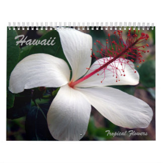 Tropischer Blumen-Kalender Hawaiis Kalender