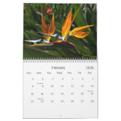 Tropischer Blumen-Kalender Hawaiis Kalender (Feb 2026)