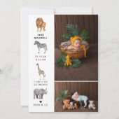 Tropischer Dschungel | Ankündigung auf der doppelt (Rückseite)