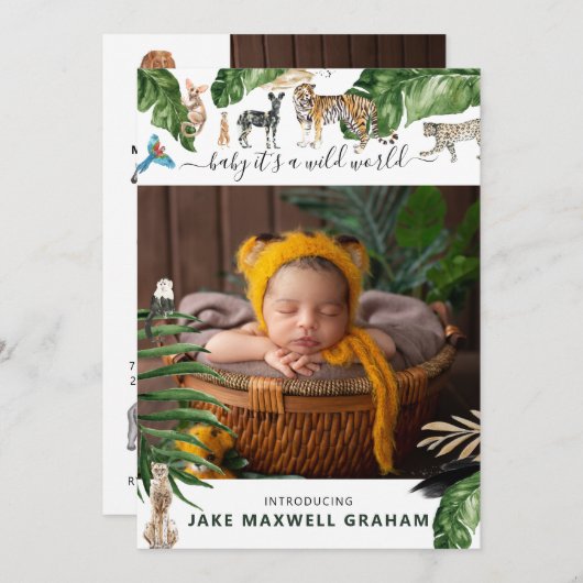 Tropischer Dschungel | Ankündigung auf der doppelt (Vorne/Hinten)