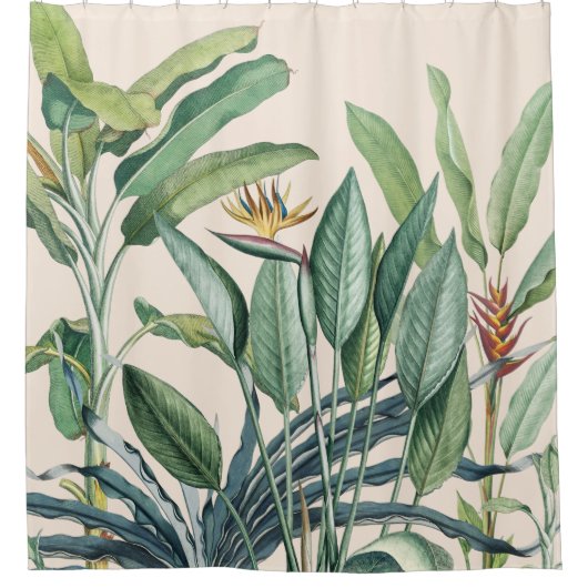 Tropischer Dschungel Bananenbaum Strelitzia Duschvorhang (Vorderseite)