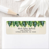 Tropischer Dschungel Blätter Botanische Sommerhoch (Insitu)