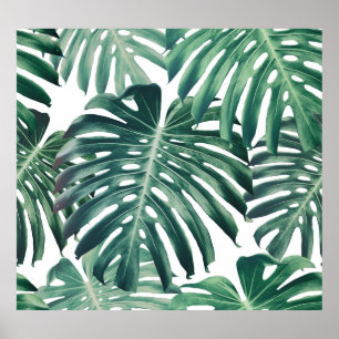 Tropischer Dschungel Blätter floraler Hintergrund Poster