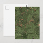 Tropischer Dschungelwald Postkarte (Vorne/Hinten)