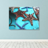 Tropischer, farbiger Seestern Leinwanddruck (Insitu (Holzboden))