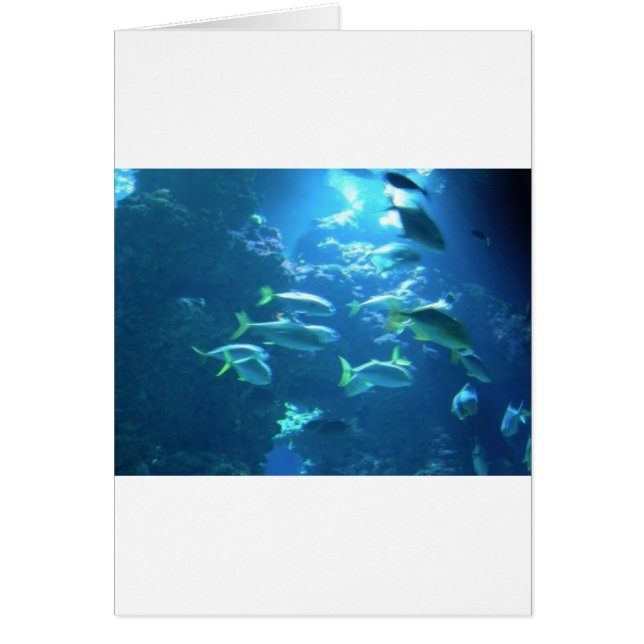 Tropischer Fisch (Vorne)