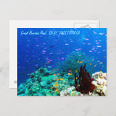 Tropischer Fisch am Great Barrier Reef Postkarte (Vorne/Hinten)