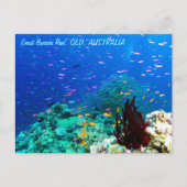 Tropischer Fisch am Great Barrier Reef Postkarte (Vorderseite)