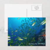 Tropischer Fisch aus dem Korallenmeer Postkarte (Vorne/Hinten)