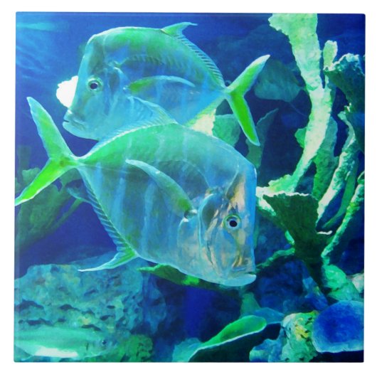 Tropischer Fisch, Blau, Keramik Fliese (Vorderseite)