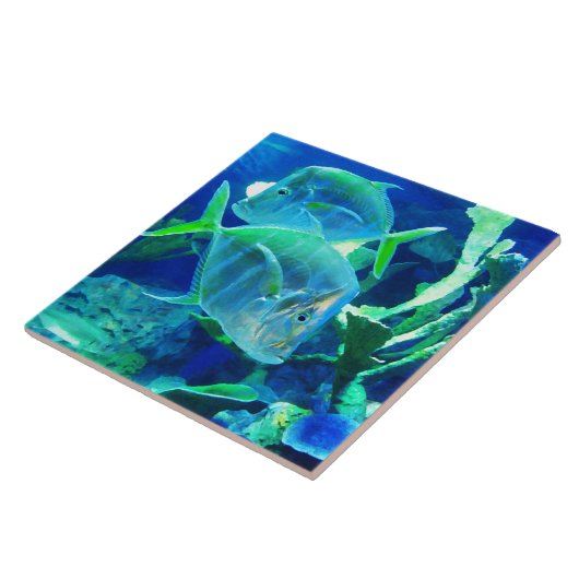 Tropischer Fisch, Blau, Keramik Fliese (Seite)