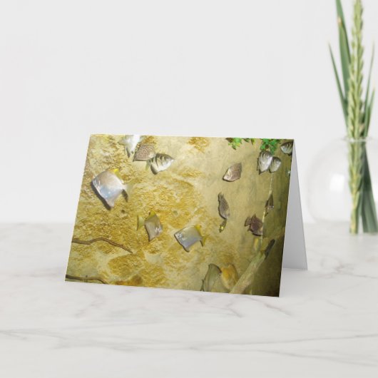 "Tropischer Fisch" erhält Brunnen-Karte Karte (Vorderseite)