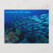 Tropischer Fisch Großes Barrier Riff Korallenmeer Postkarte (Vorderseite)