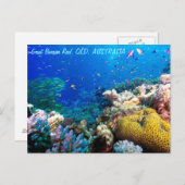 Tropischer Fisch Großes Barrier Riff Korallenmeer Postkarte (Vorne/Hinten)