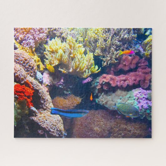 Tropischer Fisch in einem Aquarium. Jigsaw Puzzle (Horizontal)