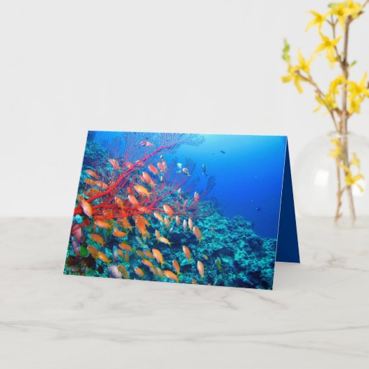 Tropischer Fisch Karte (Gelbe Blume)