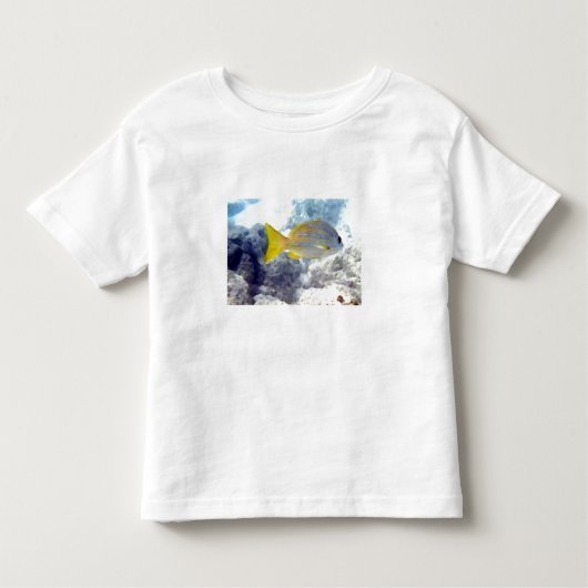 Tropischer Fisch Kleinkind T-shirt (Vorderseite)