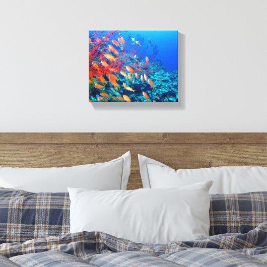 Tropischer Fisch Leinwanddruck (Insitu (Schlafzimmer))