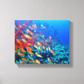 Tropischer Fisch Leinwanddruck (Vorderseite)