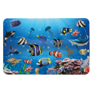 Tropischer Fisch Magnet