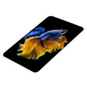 Tropischer Fisch Magnet (Linke Seite)