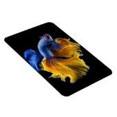 Tropischer Fisch Magnet (Rechte Seite)